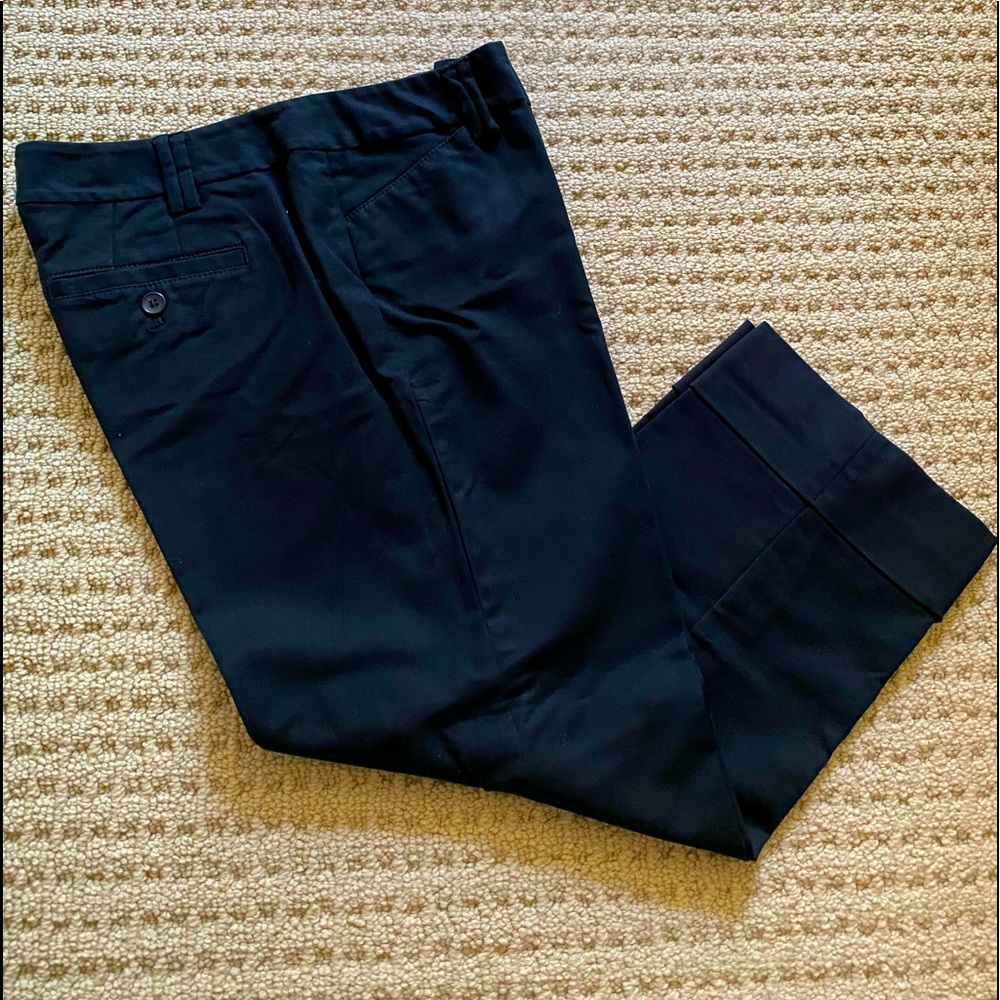 Ann Taylor Capri